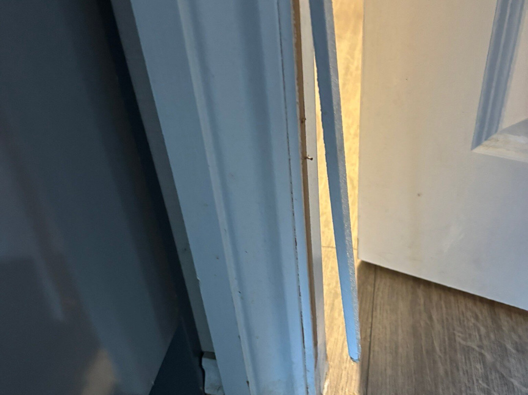 Arran Hills Pods主图