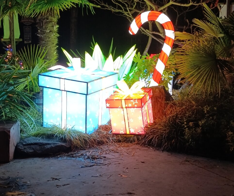 Jungle City-图尔奈必去景点