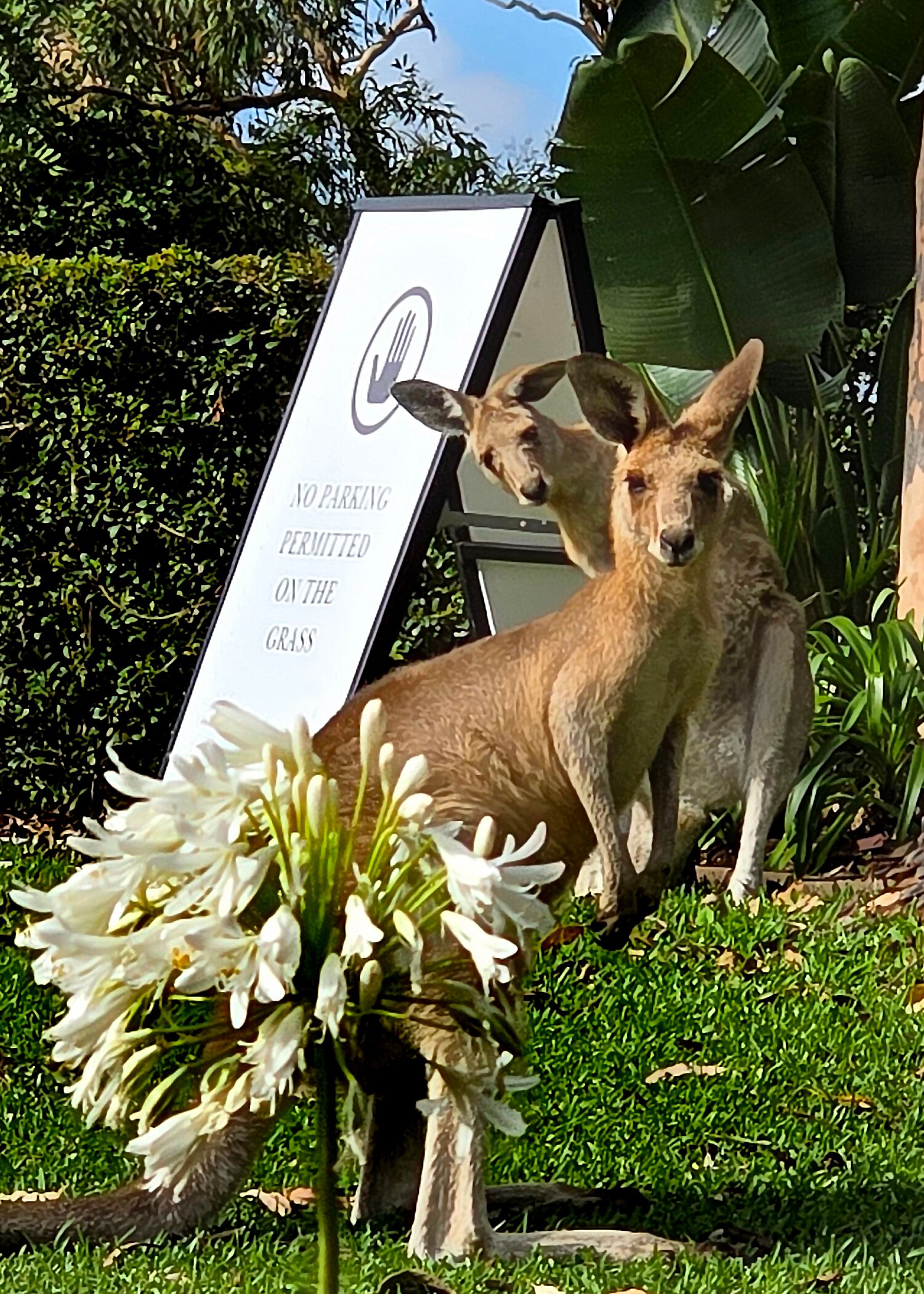凯悦神仙湾度假村-浴室