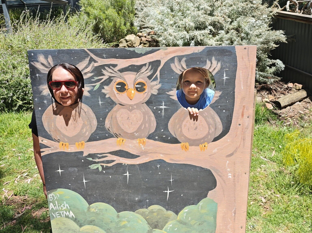 Jirrahlinga Dingo Conservation & Wildlife Education Centre-Chewton必去景点