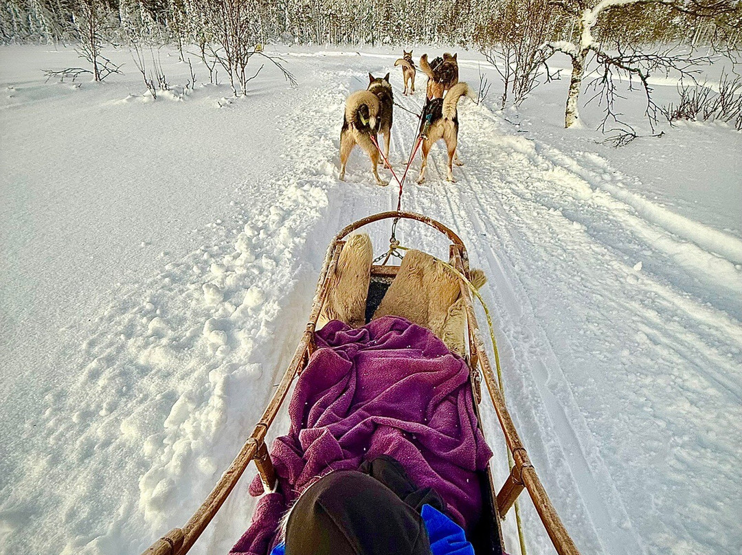 Tundra Huskies Huskyfarm-Levi必去景点