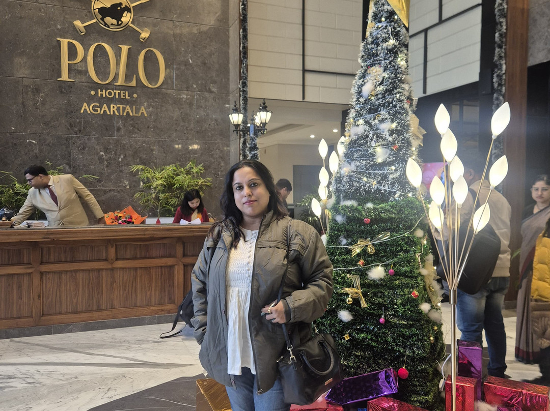Hotel Polo Towers Agartala主图