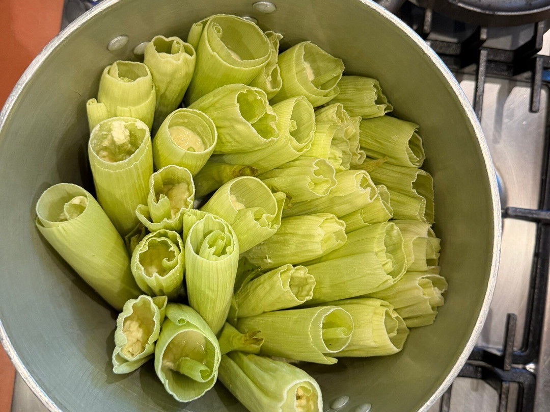 Casa Jacaranda-墨西哥城必去景点