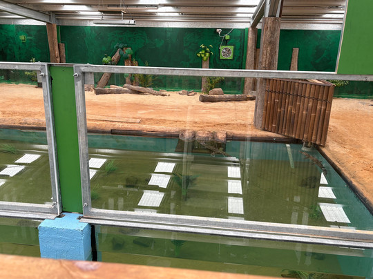 Port Stephens Animal Adventures-Bobs Farm必去景点