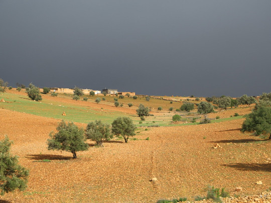 Sahara Unlimited Morocco Tours-马拉喀什必去景点