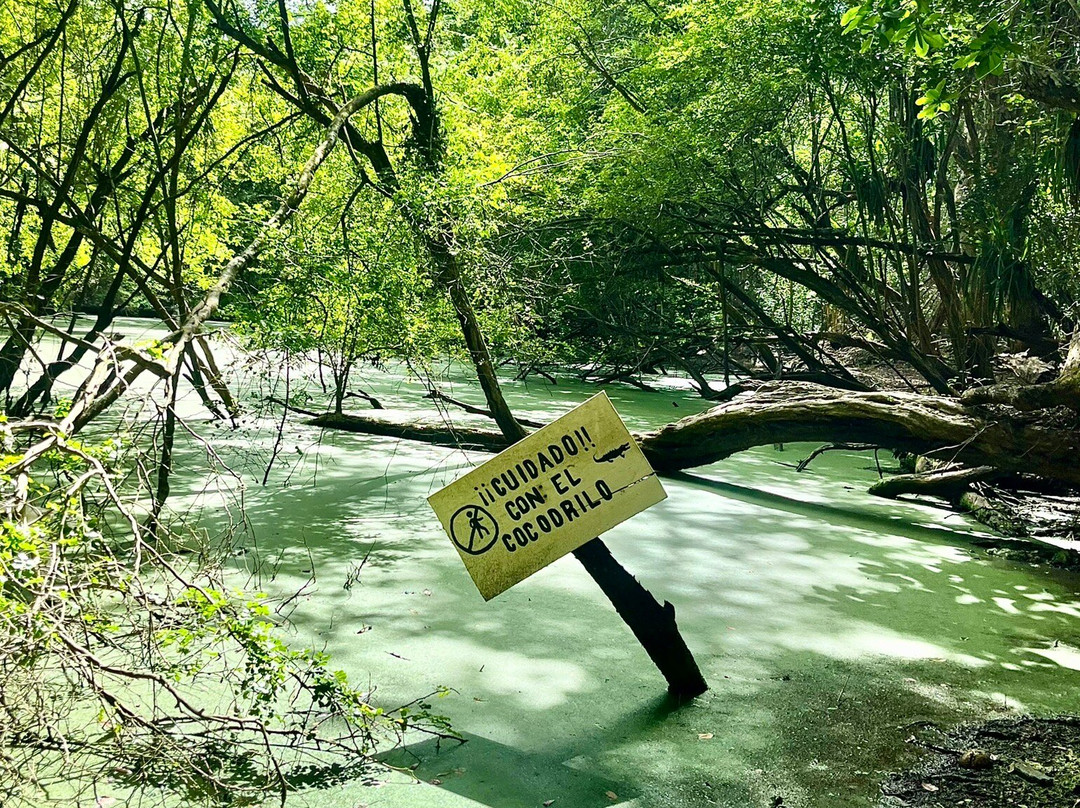 DANTA TOURS-Xpujil Town必去景点