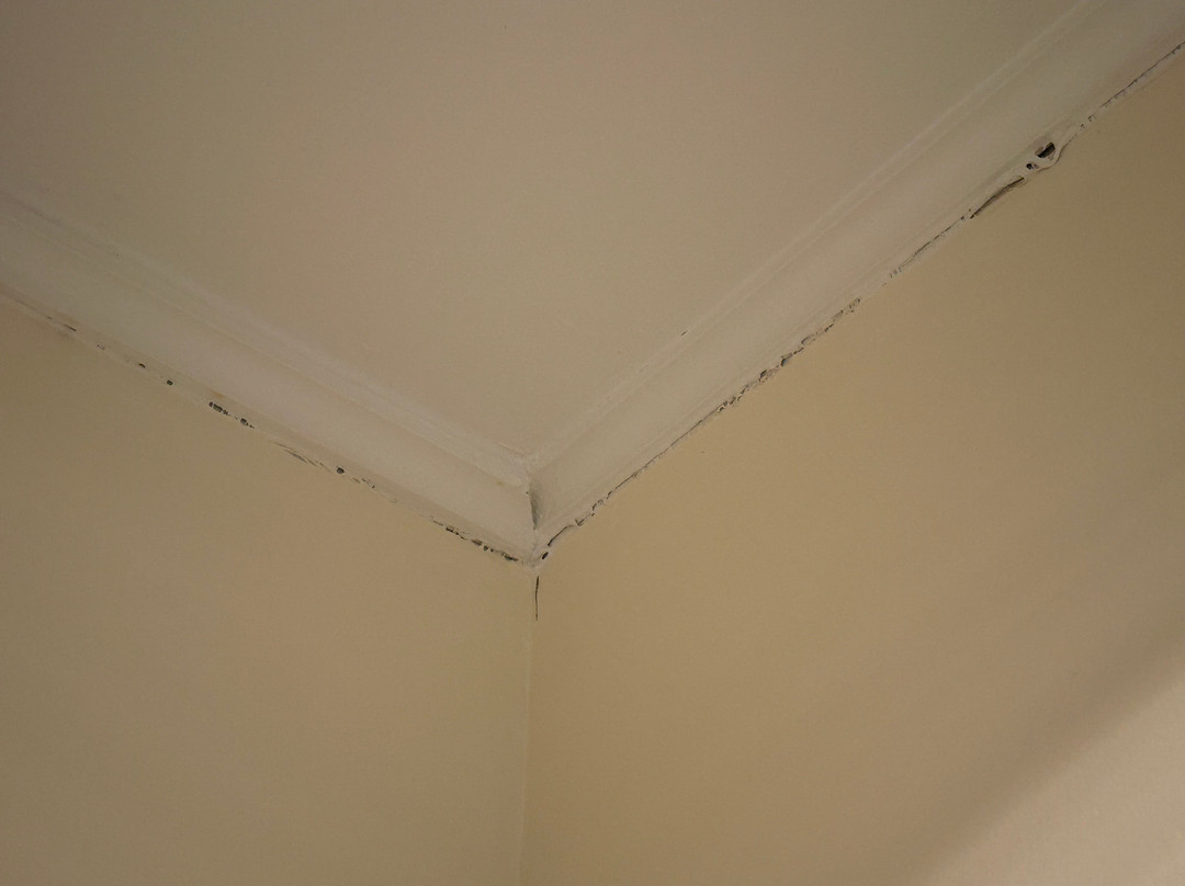 Apple Tree Inn, SureStay Collection by Best Western主图