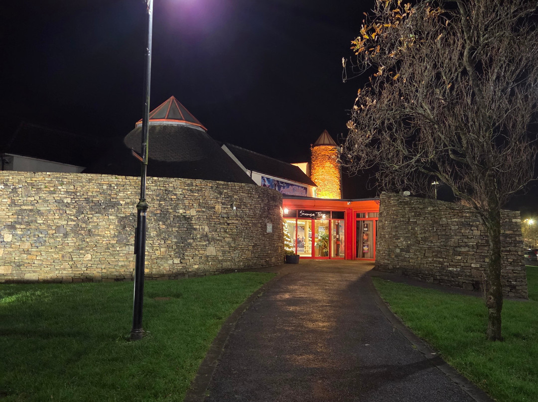 Siamsa Tire Theatre & Arts Centre-特拉利必去景点