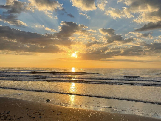 Hilton Royale Palms主图