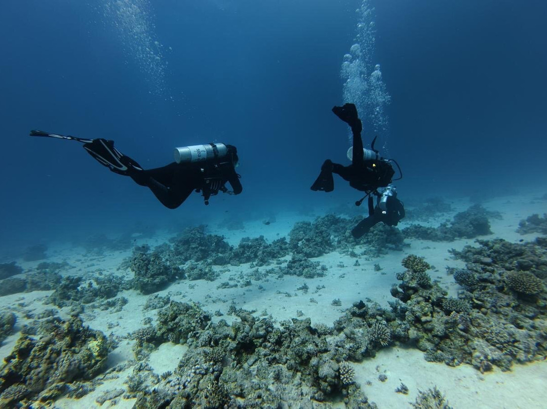 Sea Base-赫尔格达必去景点