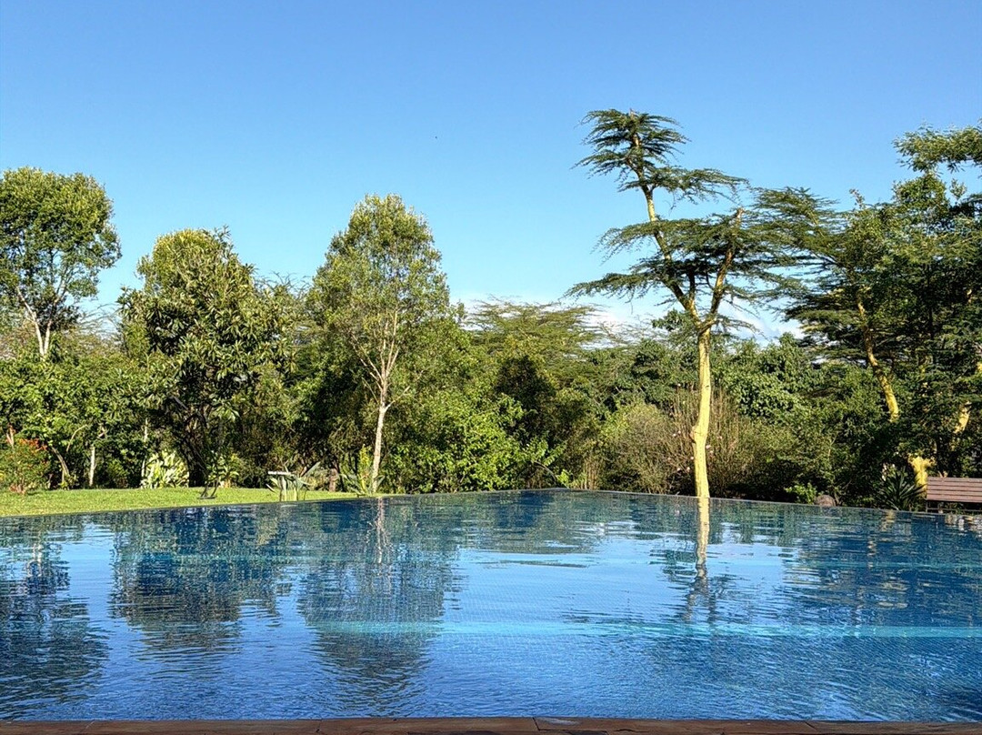 Roy Safaris-阿鲁沙必去景点