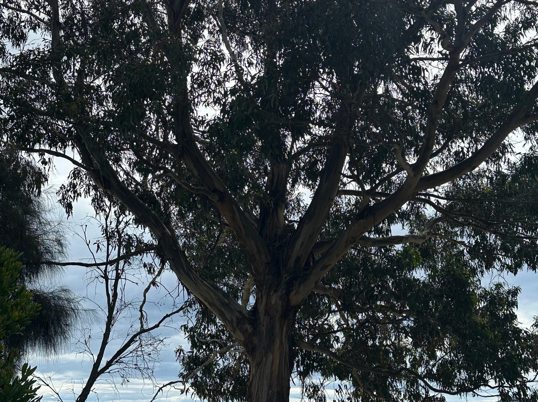 Tassie Tours Tasmania-霍巴特必去景点