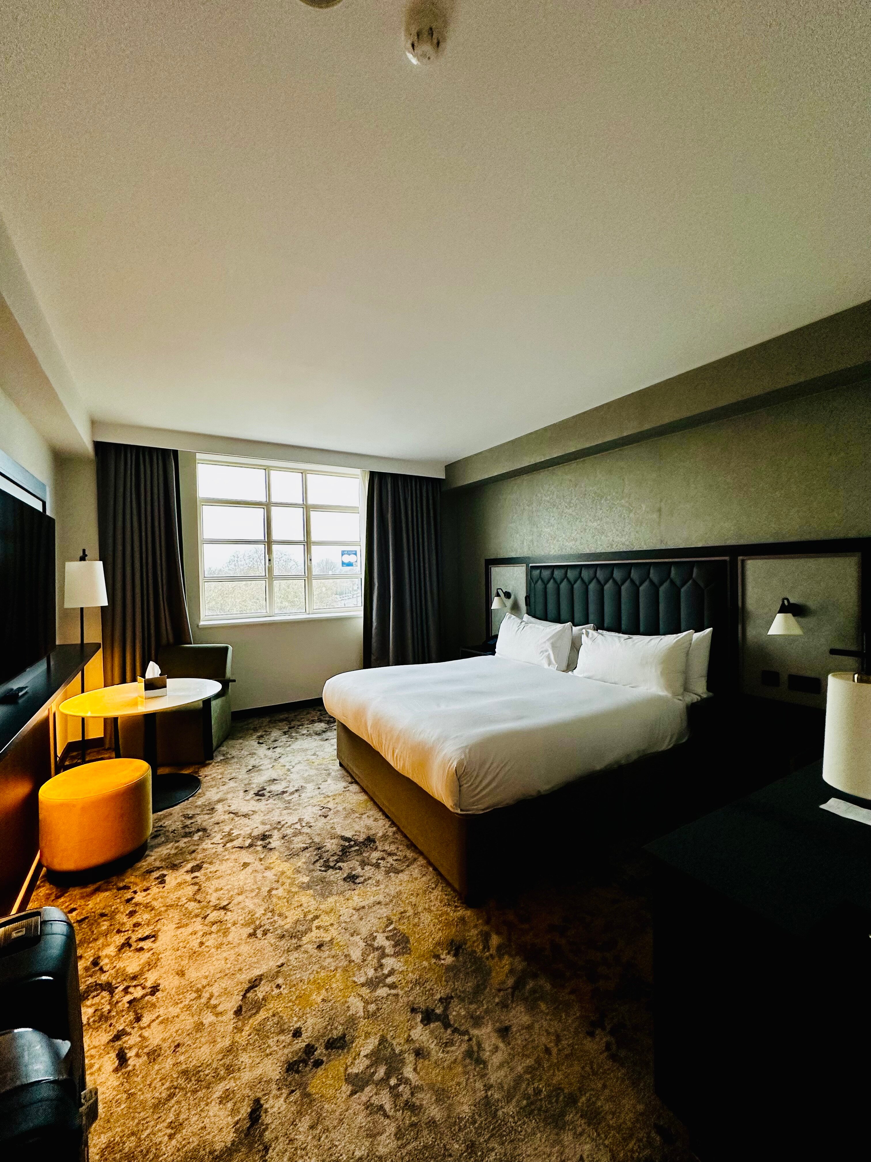 希尔顿加的夫酒店-客卧