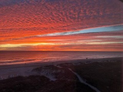 伊丽莎白足尖大堂吧酒店-酒店景观