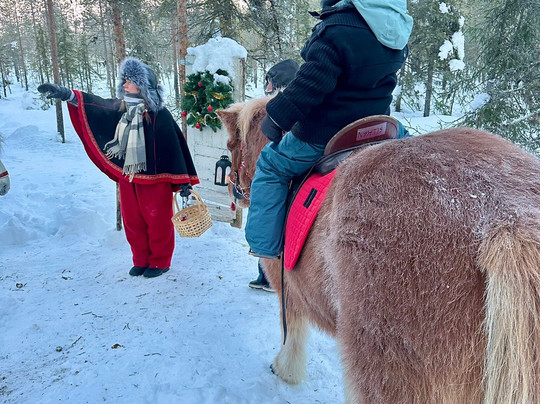 Lapin Saaga Icelandic Horse Stable in Levi-Sirkka必去景点