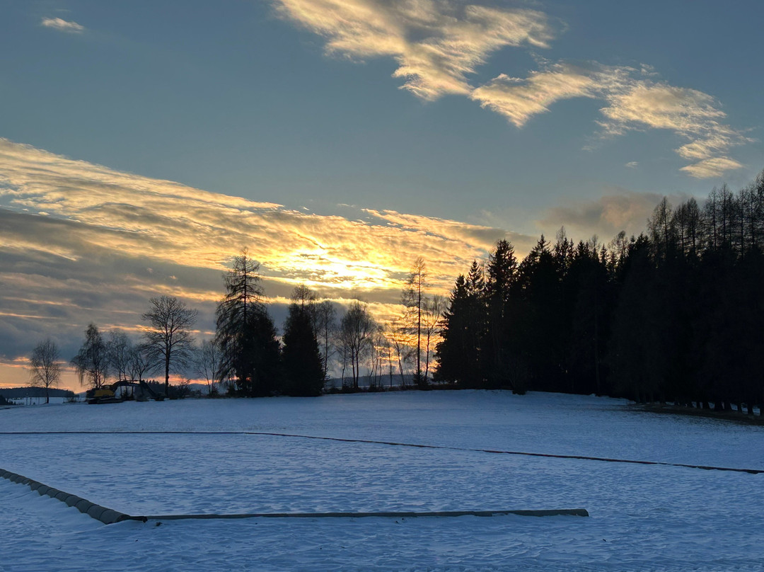 Das Leitner - Narnhoferwirt主图