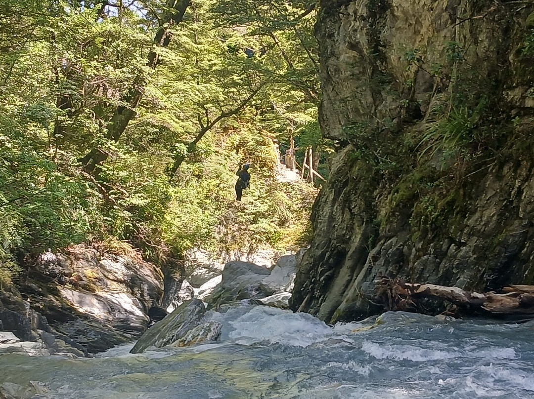 Paradise Ziplines-格伦诺基必去景点