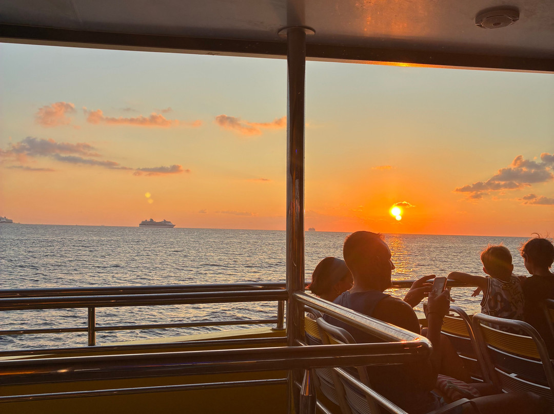 Agence D'excursion en Français Electric Bike Rental-普拉亚德尔卡曼必去景点