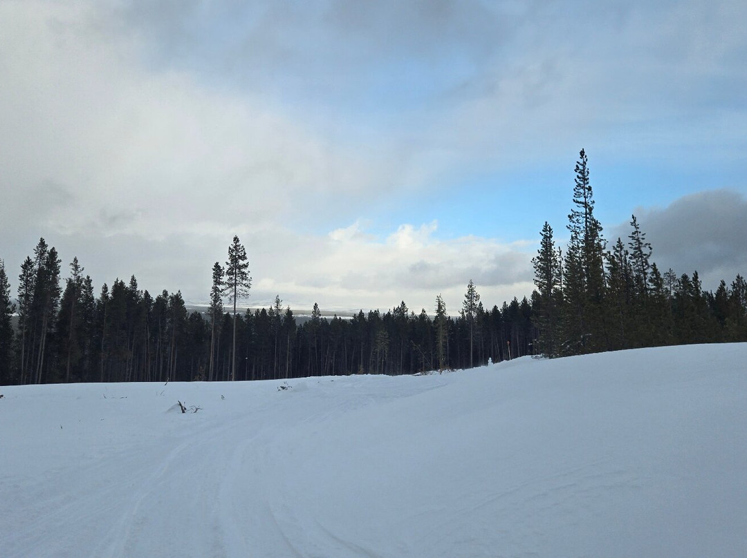 Back Country Adventures-西黄石镇必去景点