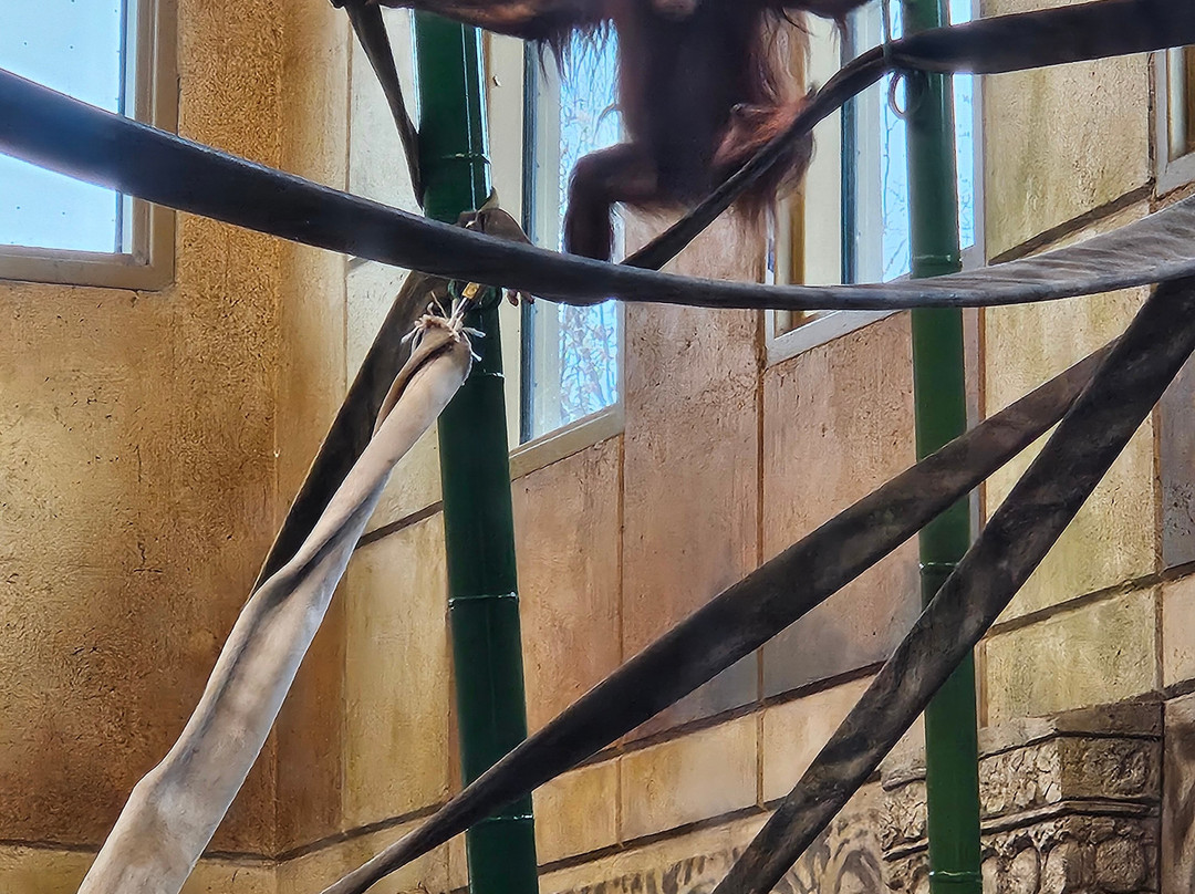 哥伦布动物园-Powell必去景点