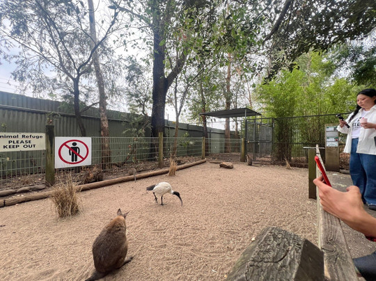 Featherdale Sydney Wildlife Park-Doonside必去景点