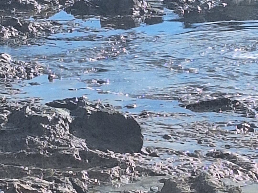 Strandpromenade San Agustin-San Agustin必去景点