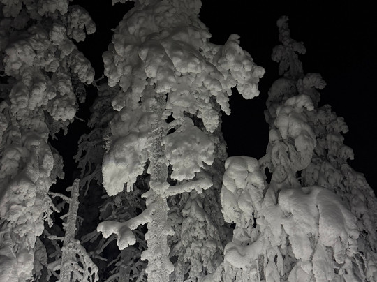 North Wind Lapland-Yllasjarvi必去景点