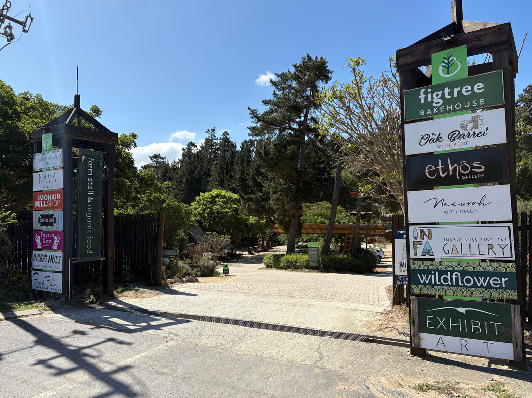 Timberlake Village-荒野必去景点