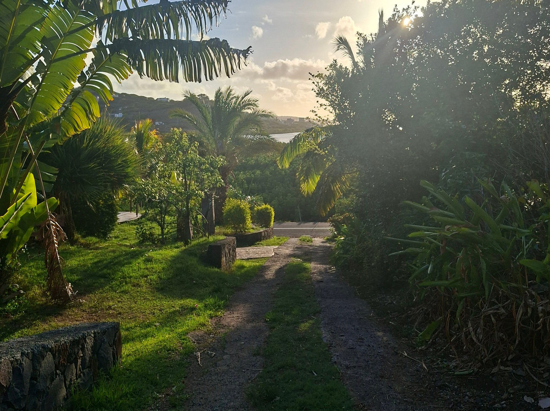 La Cabane d'Ete主图