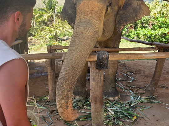 Lanta Island Elephant Lover-Khlong Hin必去景点