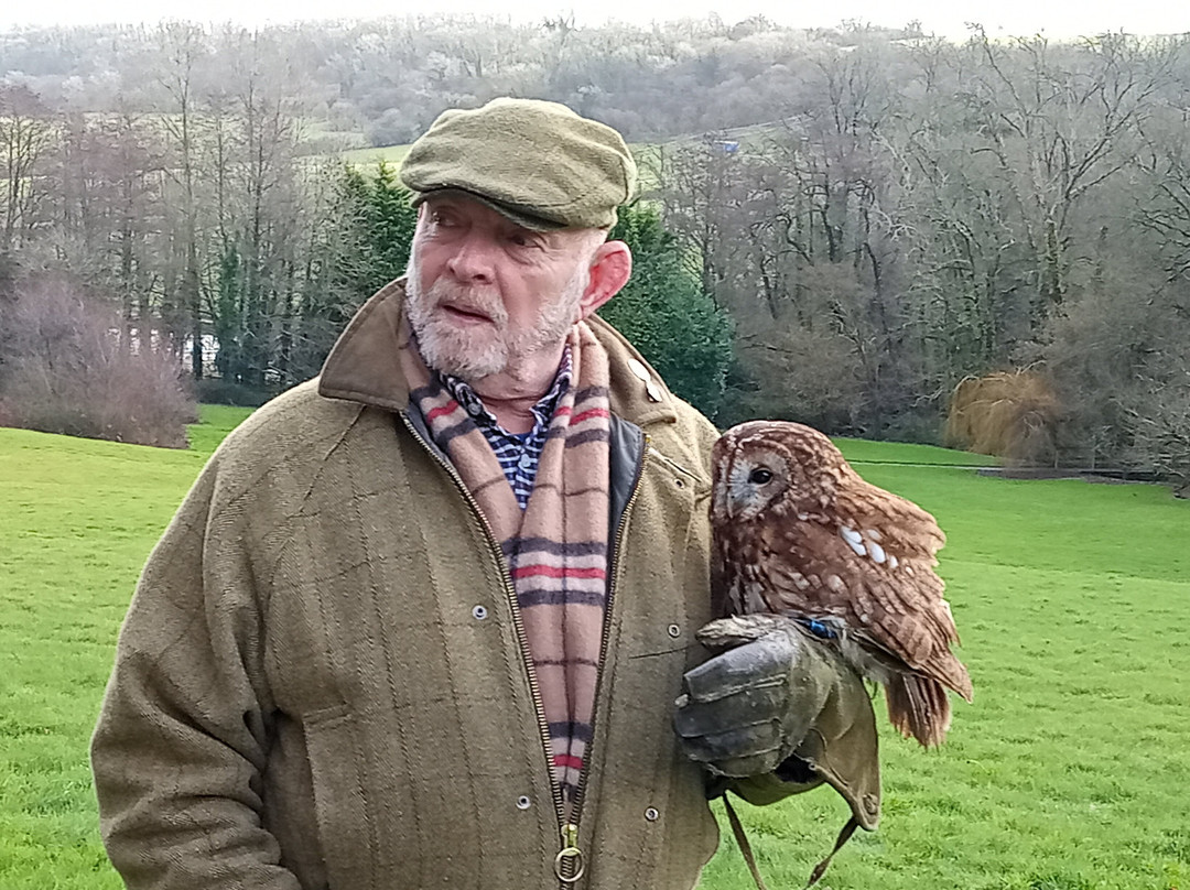 Robin Hill Adventure Park-纽波特必去景点