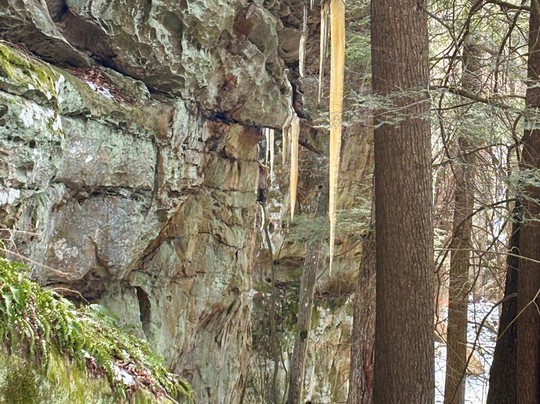Beartown State Park-Marlinton必去景点