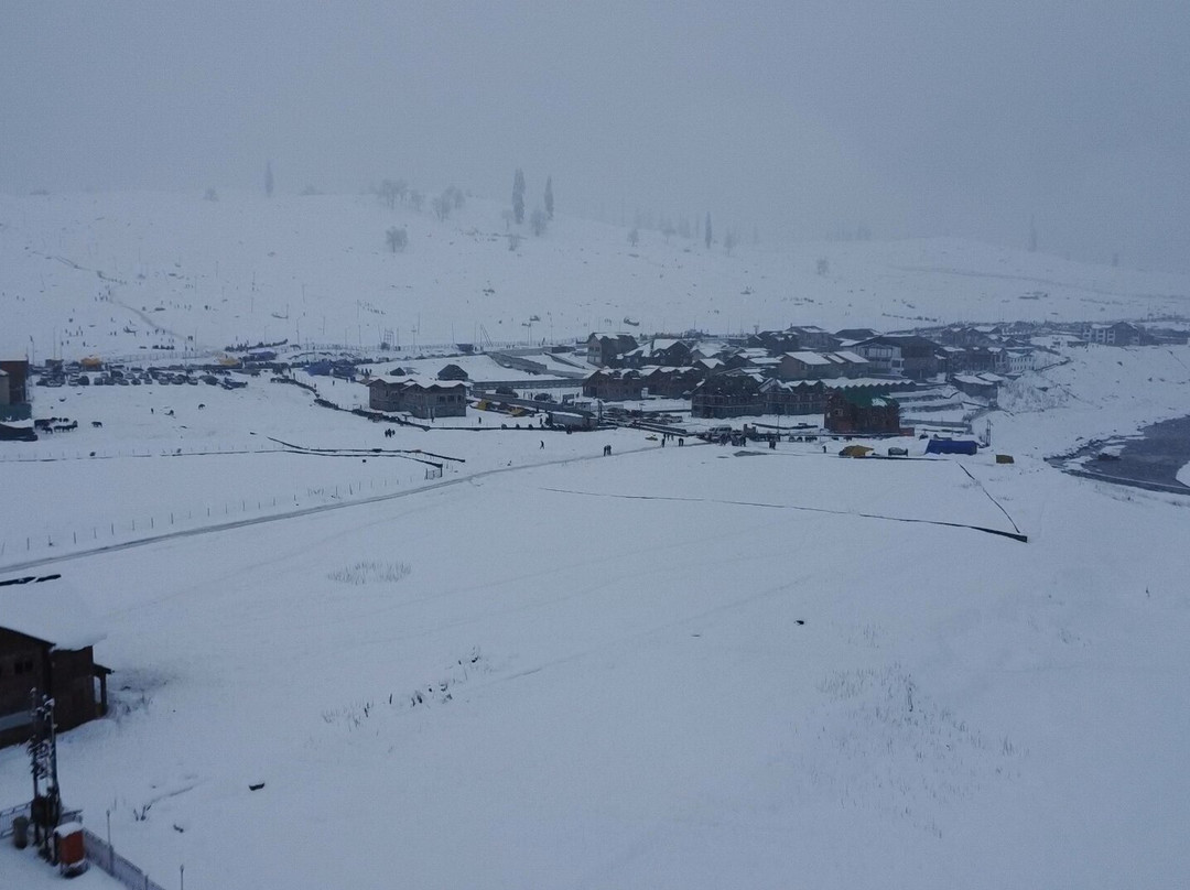 Lemon Tree Hotel, Sonamarg主图