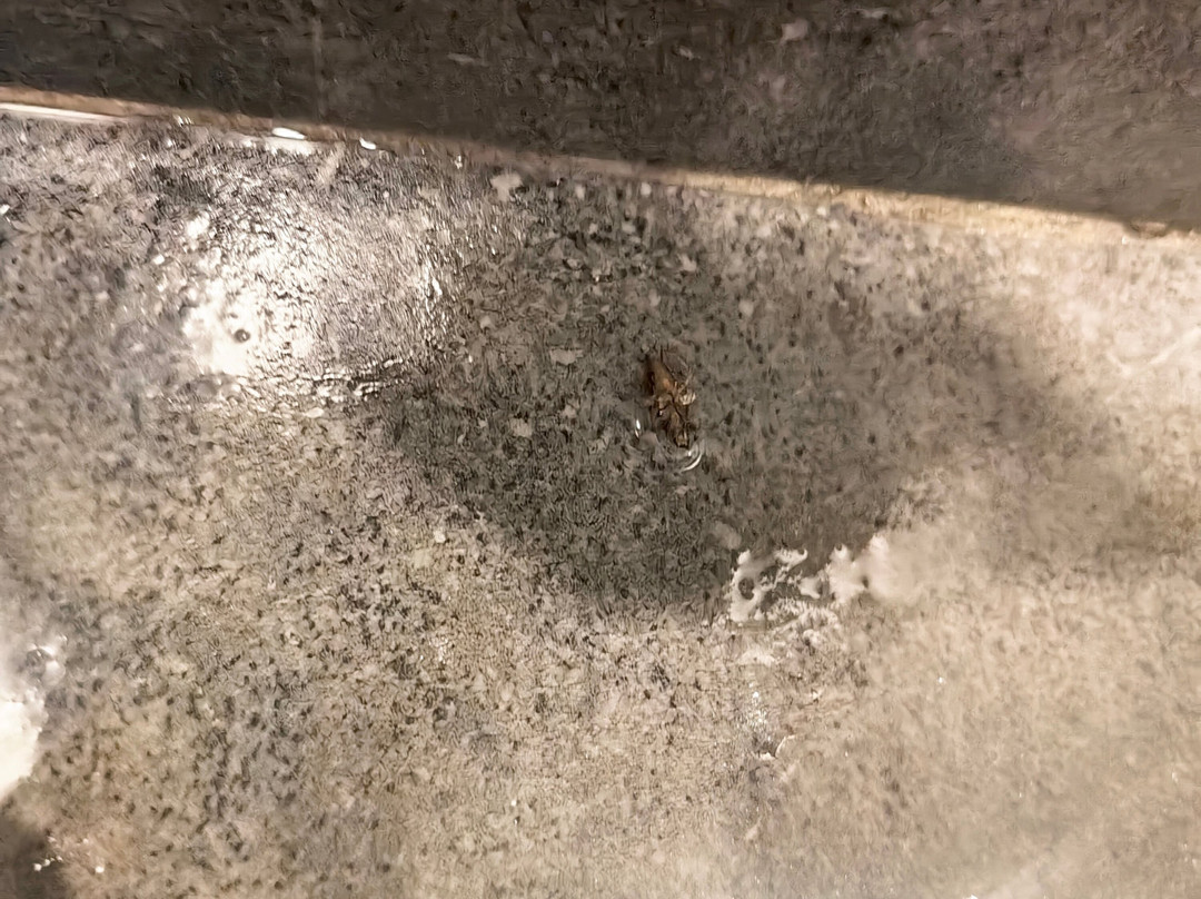 Town Lodge Roodepoort