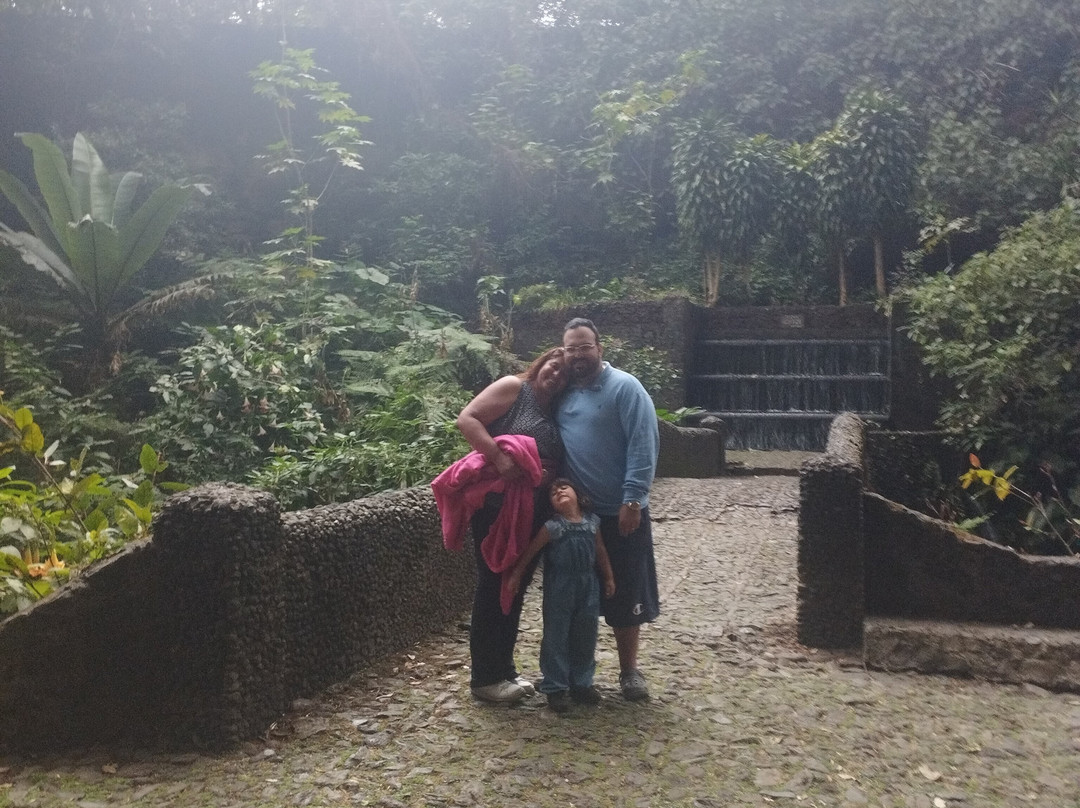 Parque Nacional Barranca del Cupatitzio-Uruapan必去景点