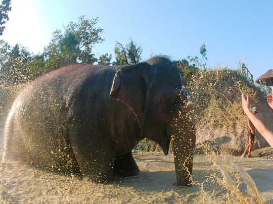 Maerim Elephant Sanctuary-夜林必去景点