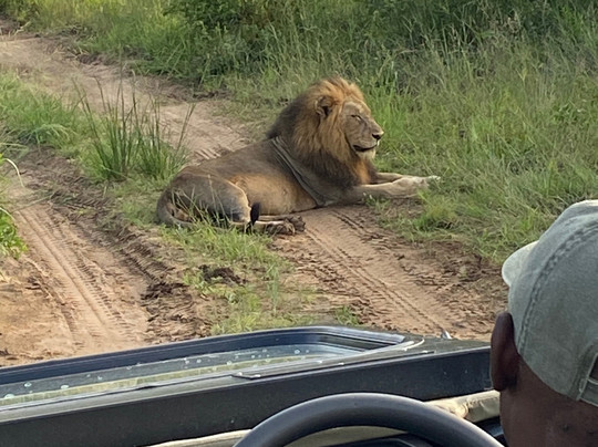 Mahlatini Luxury Travel-Rondebosch必去景点