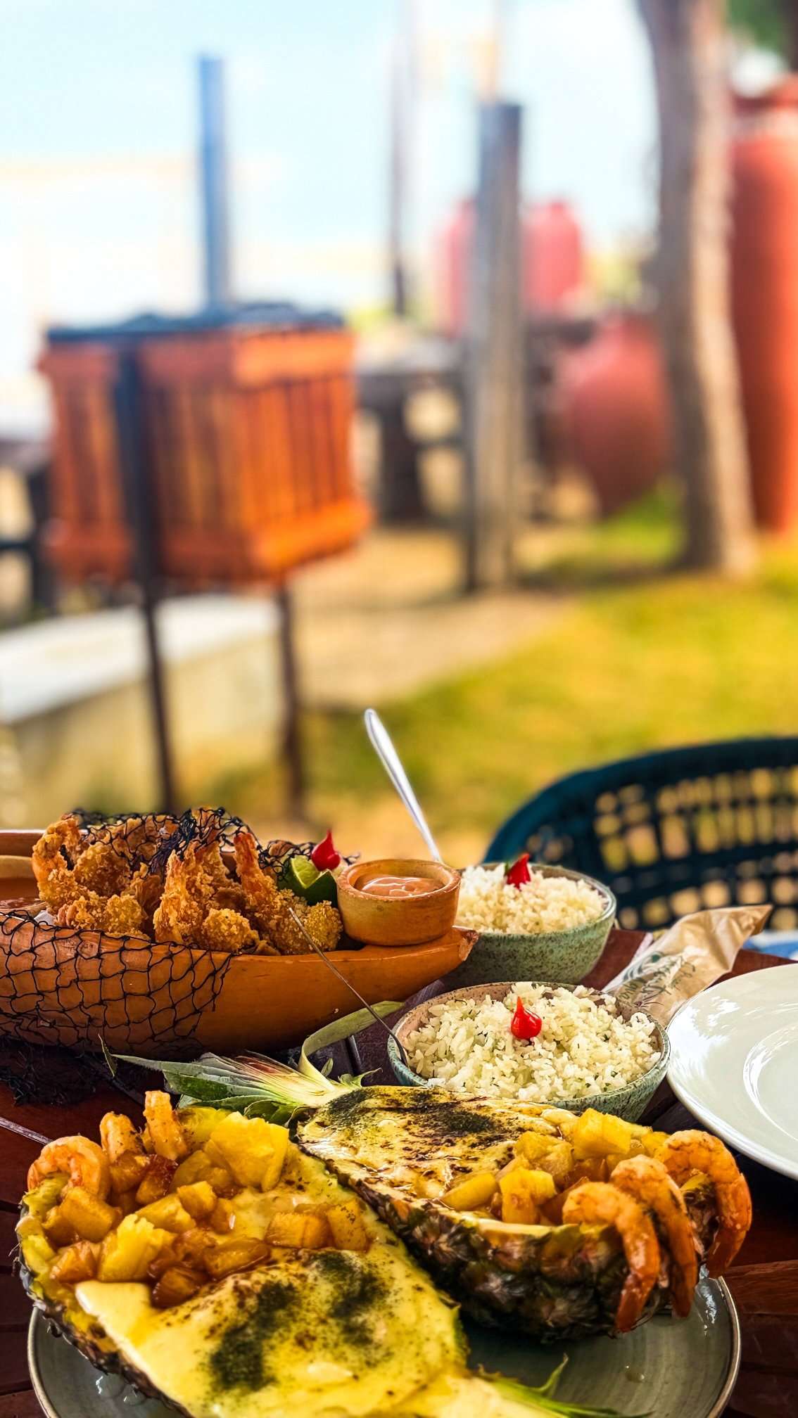 Pousada Encontro das Águas-官方