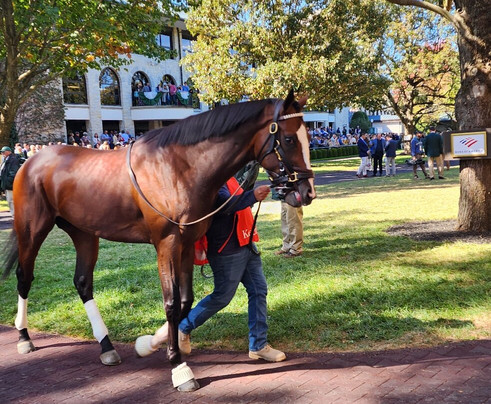 Keeneland-列克星敦必去景点