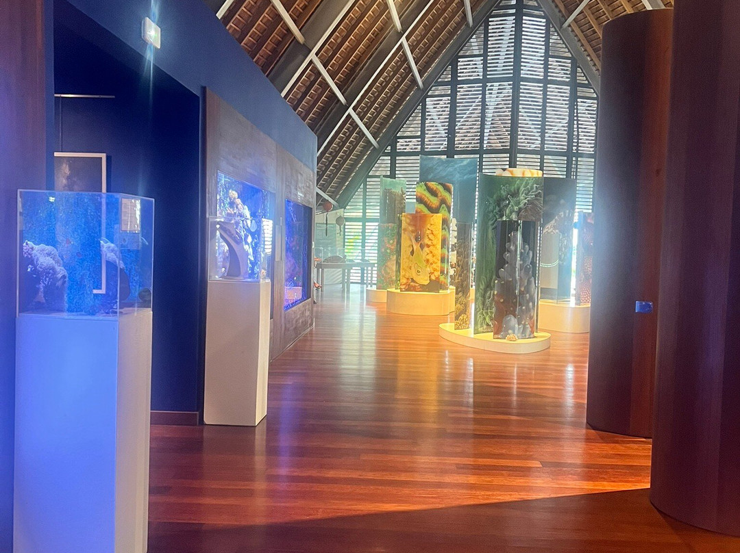 Te Fare Natura-帕佩托艾必去景点