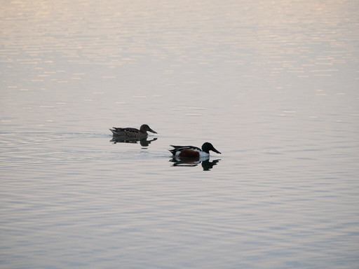 Greece Bird Tours-Marathon必去景点