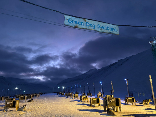 Green Dog Svalbard-朗伊尔城必去景点