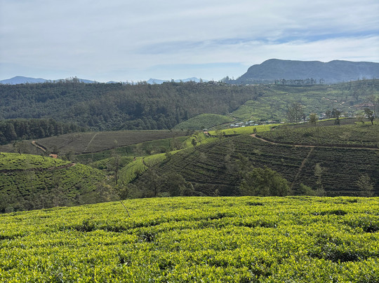 Ami Tours & Travels-坎达拉马必去景点