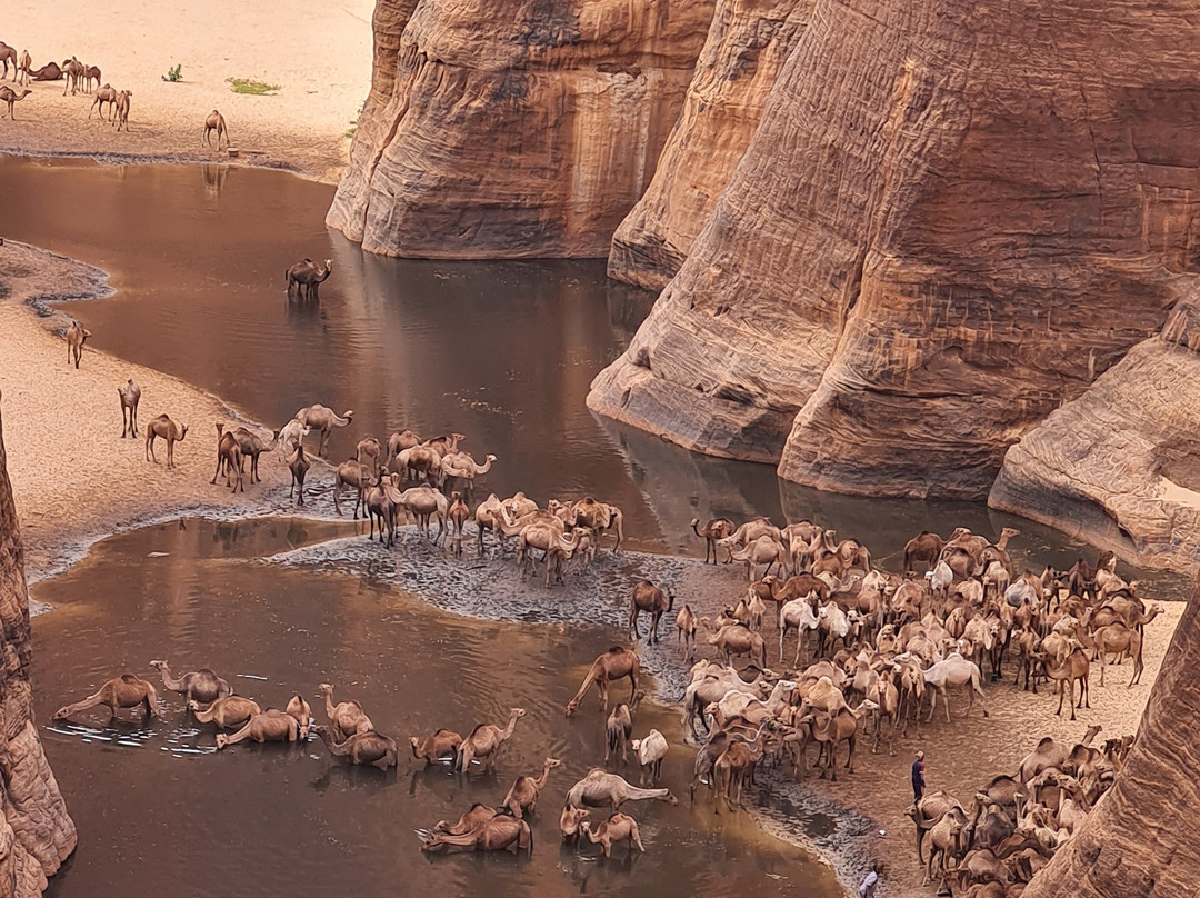 Guelta d'Archei-Fada必去景点