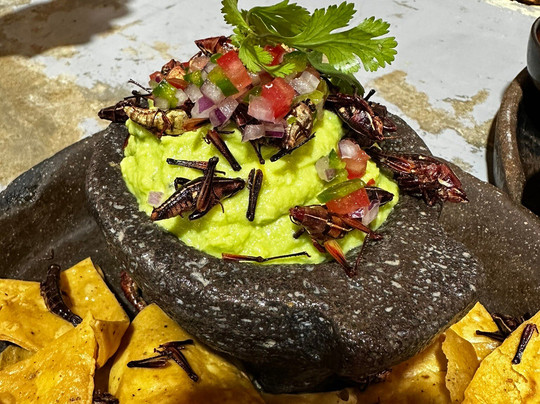 Coyoacan Market-墨西哥城必去景点