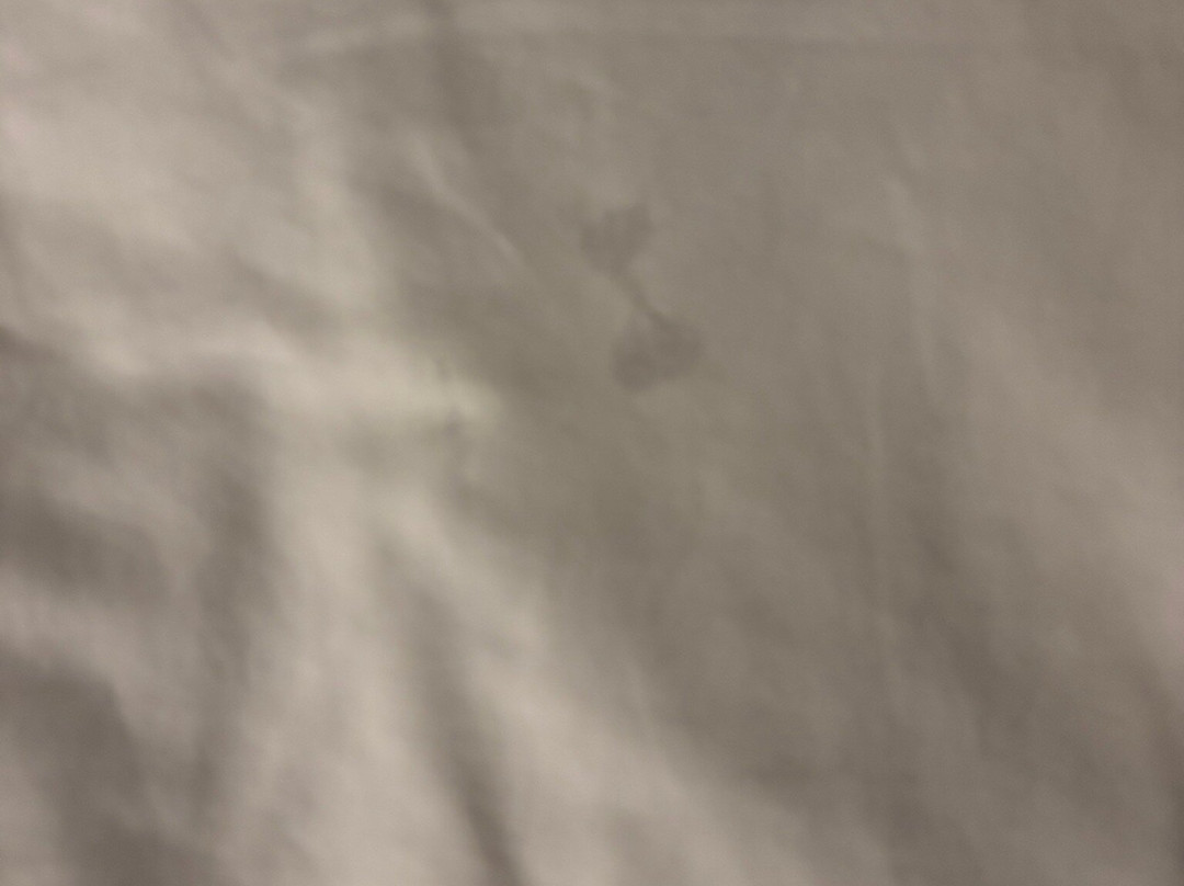 希尔顿欢朋套房酒店-盐湖城机场主图