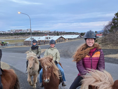 冰岛骑马之旅-雷克雅未克必去景点