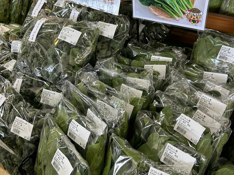 Michi no Eki Ota-太田市必去景点