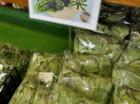 Michi no Eki Ota-太田市必去景点