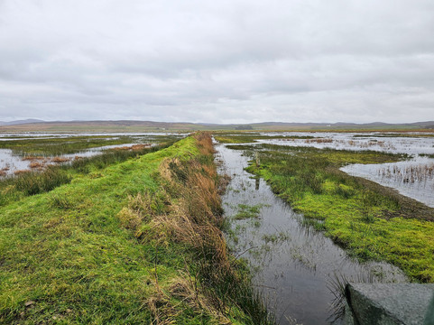 RSPB Loch Gruinart Reserve-Bridgend必去景点
